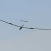 50. Internationaler Hahnweide-Segelflugwettbewerb 06.05.2016