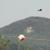 50. Internationaler Hahnweide-Segelflugwettbewerb 06.05.2016