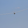 50. Internationaler Hahnweide-Segelflugwettbewerb 06.05.2016