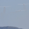50. Internationaler Hahnweide-Segelflugwettbewerb 06.05.2016