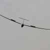 50. Internationaler Hahnweide-Segelflugwettbewerb 06.05.2016