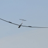 50. Internationaler Hahnweide-Segelflugwettbewerb 06.05.2016