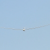 50. Internationaler Hahnweide-Segelflugwettbewerb 06.05.2016