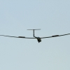 50. Internationaler Hahnweide-Segelflugwettbewerb 06.05.2016