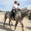 50 Jahre Polizeihubschrauberstaffel Baden-Württemberg – Tag der offenen Tür 26.07.2015