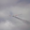 51. Internationaler Hahnweide-Segelflugwettbewerb 21.05.2017