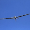 51. Internationaler Hahnweide-Segelflugwettbewerb 21.05.2017