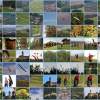 52. Teckpokalfliegen 06.09.2014