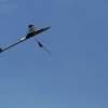 52. Teckpokalfliegen 06.09.2014