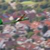 52. Teckpokalfliegen 06.09.2014