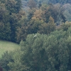 52. Teckpokalfliegen 06.09.2014
