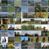 52. Teckpokalfliegen 06.09.2014