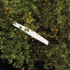 52. Teckpokalfliegen 06.09.2014