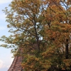 52. Teckpokalfliegen 06.09.2014
