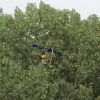 52. Teckpokalfliegen 06.09.2014