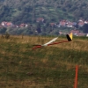 52. Teckpokalfliegen 06.09.2014