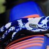 57. Int. Reutlinger ADAC Motocross