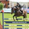 CHI Donaueschingen 2014