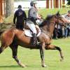 CHI Donaueschingen 2014
