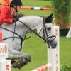 CHI Donaueschingen 2014