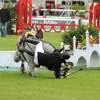 CHI Donaueschingen 2014