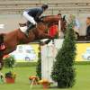 CHI Donaueschingen 2014