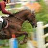CHI Donaueschingen 2014