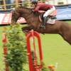 CHI Donaueschingen 2014