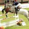 CHI Donaueschingen 2014
