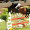 CHI Donaueschingen 2014