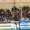CHI Donaueschingen 2014