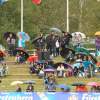 CHI Donaueschingen 2014
