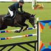 CHI Donaueschingen 2014