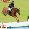 CHI Donaueschingen 2014