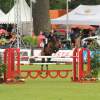 CHI Donaueschingen 2014
