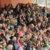 CHI Donaueschingen 2014