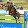 CHI Donaueschingen 2014