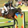 CHI Donaueschingen 2014