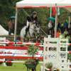 CHI Donaueschingen 2014
