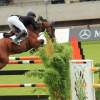 CHI Donaueschingen 2014