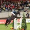 CHI Donaueschingen 2014