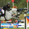 CHI Donaueschingen 2014