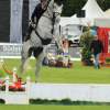 CHI Donaueschingen 2014