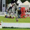 CHI Donaueschingen 2014