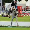 CHI Donaueschingen 2014