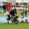 CHI Donaueschingen 2014