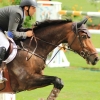 CHI Donaueschingen 2014