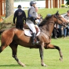 CHI Donaueschingen 2014