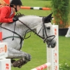 CHI Donaueschingen 2014