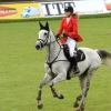 CHI Donaueschingen 2014